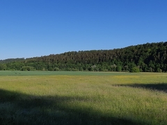 Im Frühling 2020 (1)